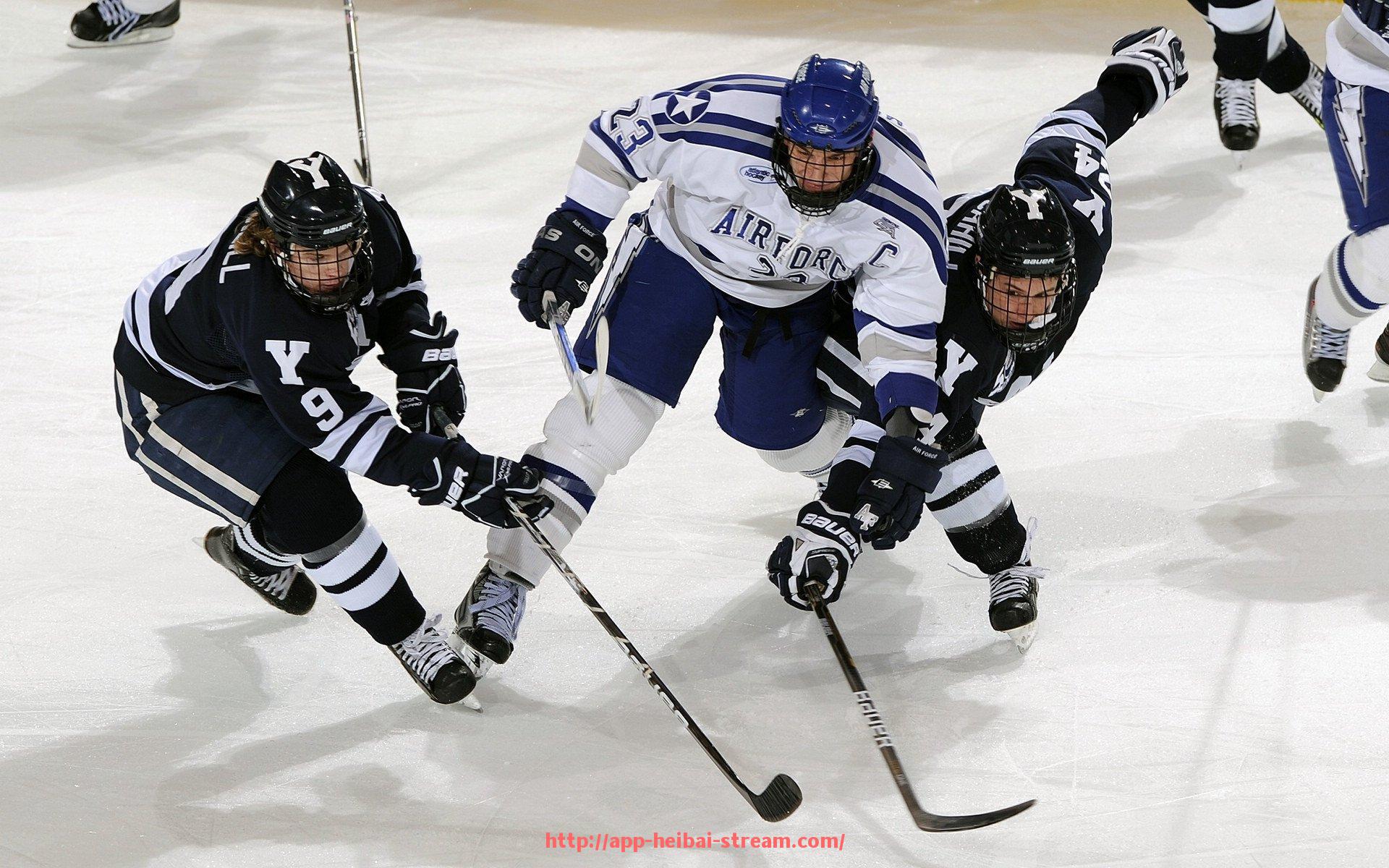 黑白体育直播-健身器材双手压的种类与其在体育核心力量训练中的价值